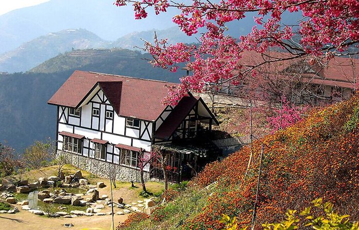 英国民宿——离开家，仍然在家里