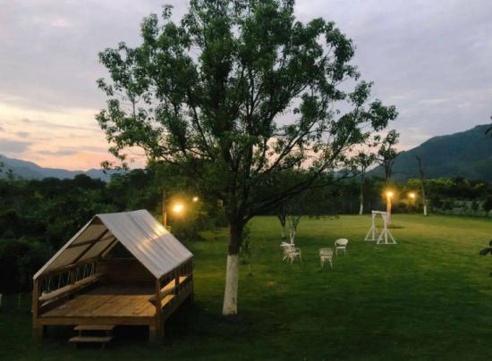 民宿和露营成为旅游市场亮点