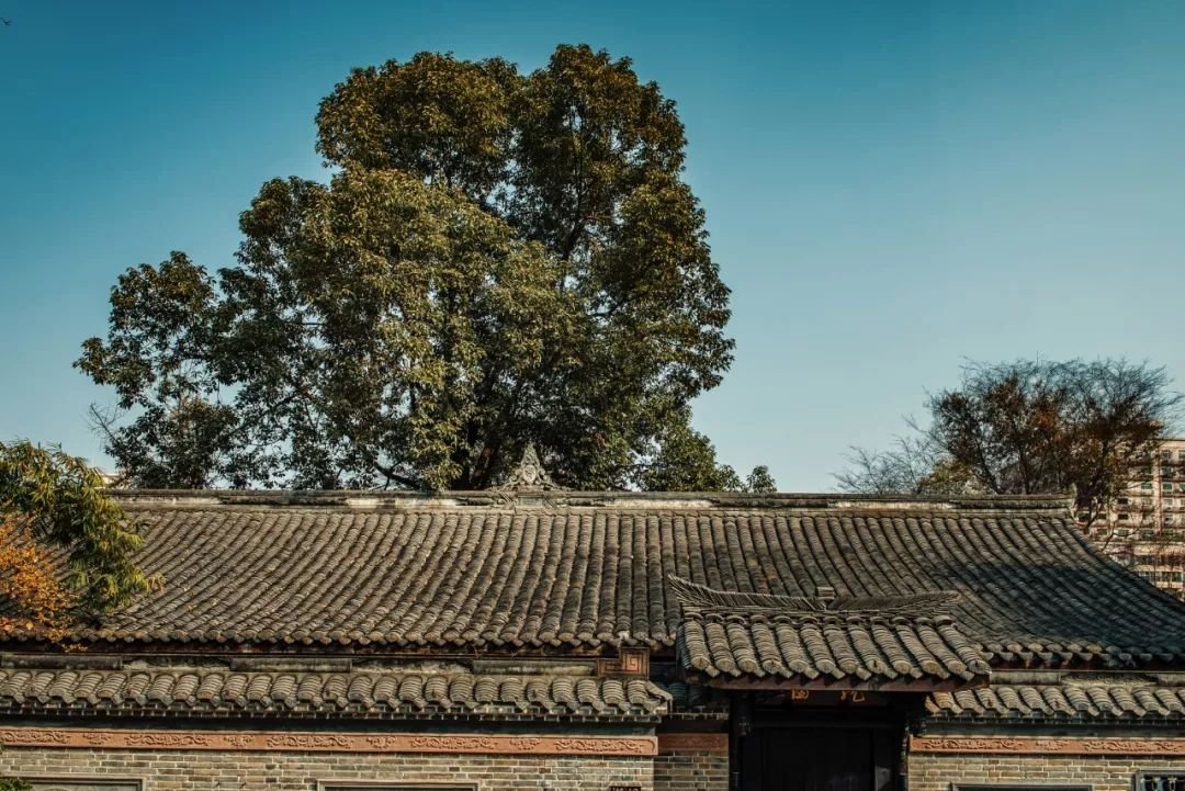 巴金先生的爷爷的故居,巴适小院 巴金先生的爷爷的故居,巴适小院