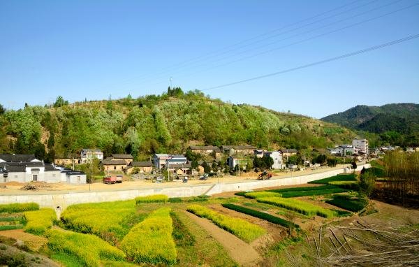 乡村庭院景观设计的元素 乡村庭院景观设计的元素