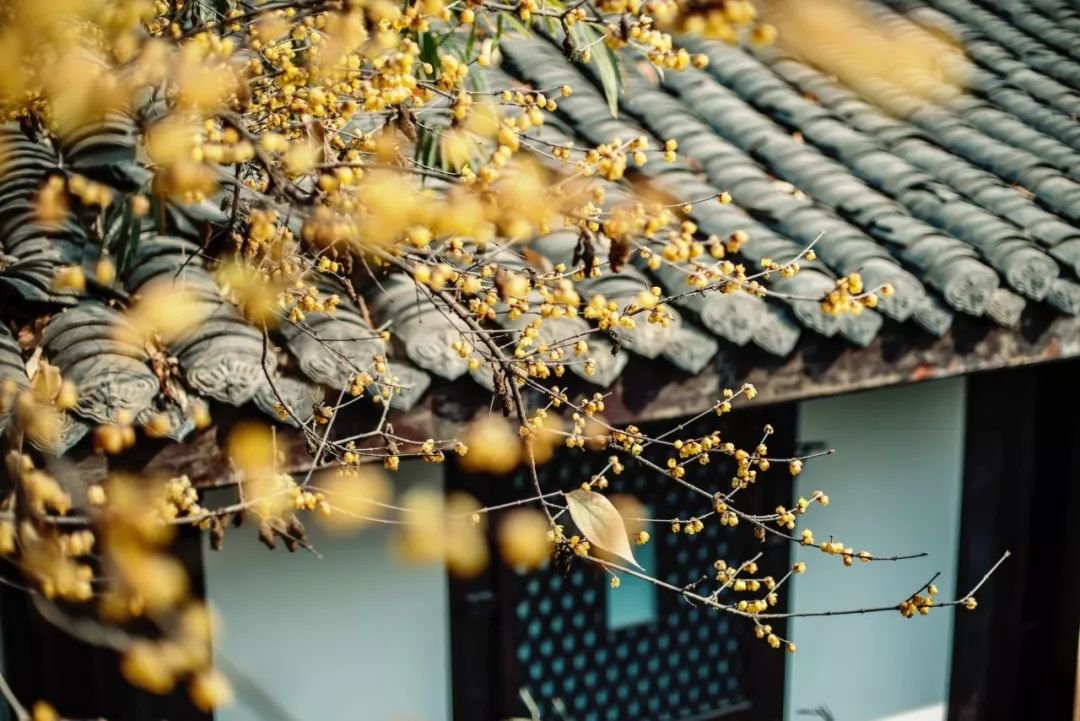 巴金先生的爷爷的故居,巴适小院 巴金先生的爷爷的故居,巴适小院