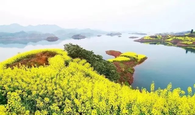 他斥资千万造出梦中的家，消解了 29 万游子的乡愁！