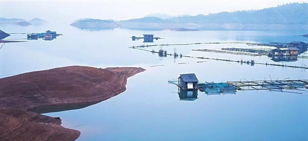 他斥资千万造出梦中的家，消解了 29 万游子的乡愁！