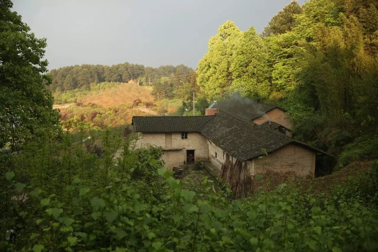 57 岁的他花 5 年时间打造童话树屋,竟成绝佳避暑胜地 57 岁的他花 5 年时间打造童话树屋,竟成绝佳避暑胜地