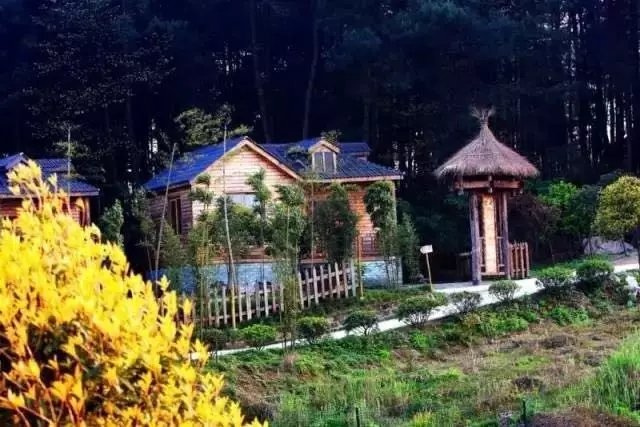 57 岁的他花 5 年时间打造童话树屋,竟成绝佳避暑胜地 57 岁的他花 5 年时间打造童话树屋,竟成绝佳避暑胜地