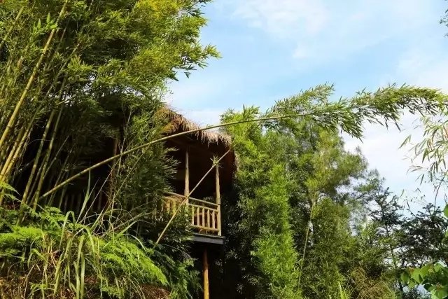 57 岁的他花 5 年时间打造童话树屋,竟成绝佳避暑胜地 57 岁的他花 5 年时间打造童话树屋,竟成绝佳避暑胜地