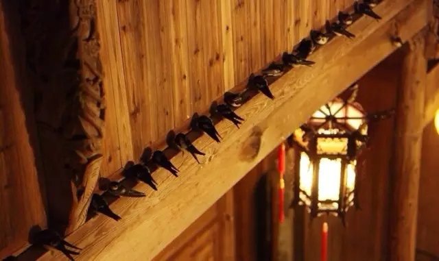 她用 5 年改造徽州百年老宅 她用 5 年改造徽州百年老宅