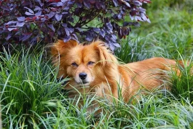 57 岁的他花 5 年时间打造童话树屋,竟成绝佳避暑胜地 57 岁的他花 5 年时间打造童话树屋,竟成绝佳避暑胜地