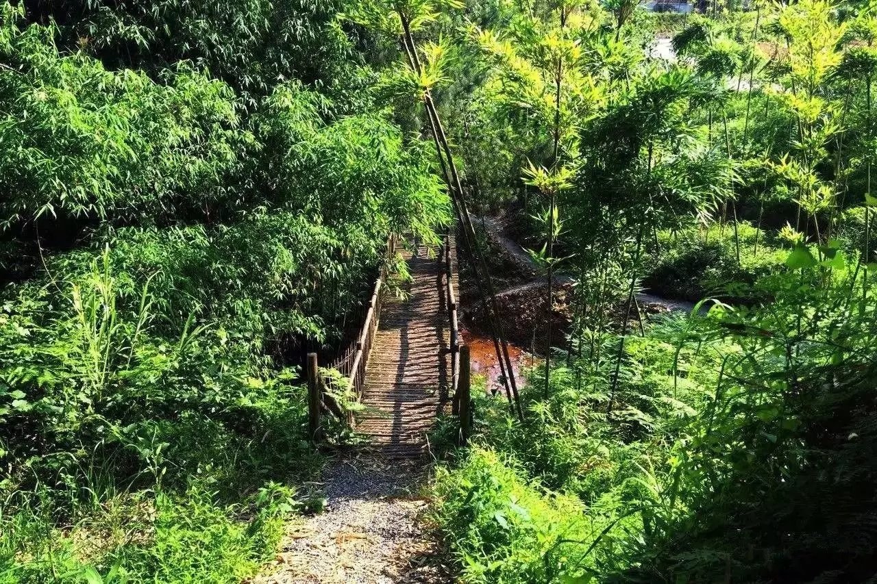 57 岁的他花 5 年时间打造童话树屋,竟成绝佳避暑胜地 57 岁的他花 5 年时间打造童话树屋,竟成绝佳避暑胜地