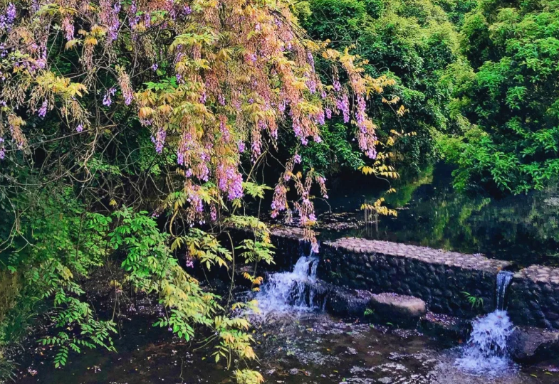 杭州夏日避暑——九溪十八涧送你一份清凉 杭州夏日避暑——九溪十八涧送你一份清凉