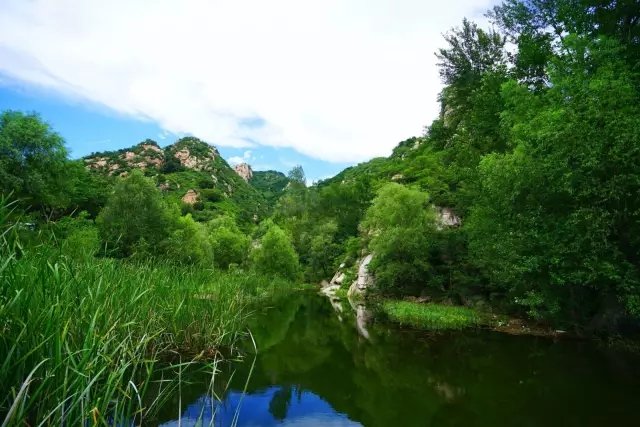 他用 4.5 万根廉价柴火棍，搭建了一个世外桃源！