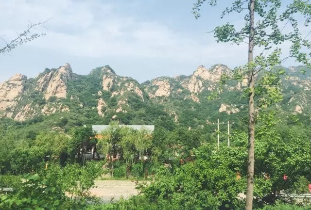 他用 4.5 万根廉价柴火棍，搭建了一个世外桃源！