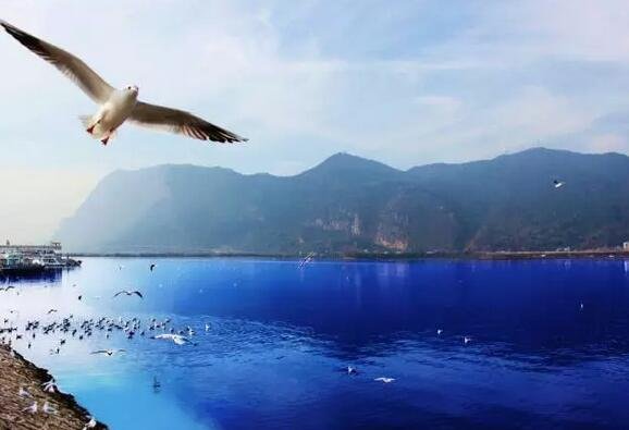 他把云南 26 个民族装进一间屋子