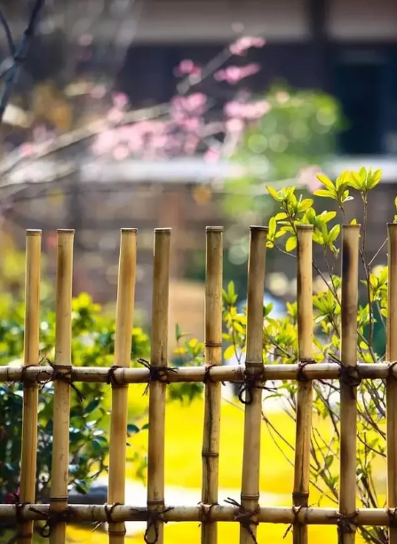 江浙沪民宿这么美，打动你的心了吗？