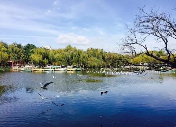 他把云南 26 个民族装进一间屋子