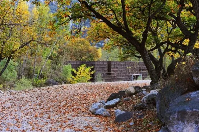 他用 4.5 万根廉价柴火棍，搭建了一个世外桃源！