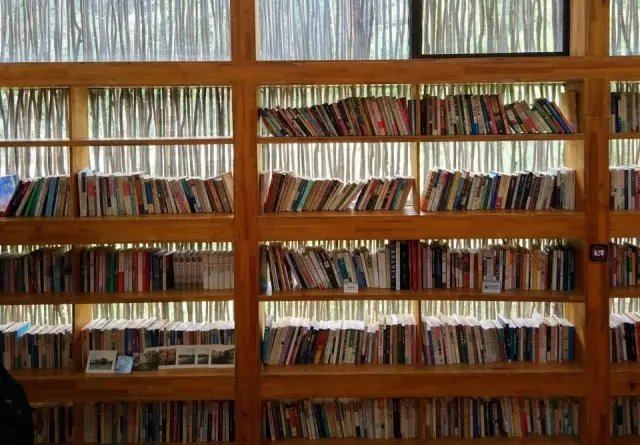 他用 4.5 万根廉价柴火棍，搭建了一个世外桃源！