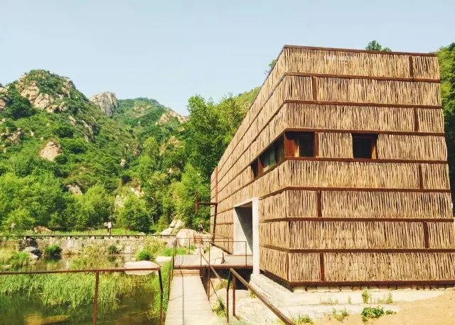 他用 4.5 万根廉价柴火棍，搭建了一个世外桃源！