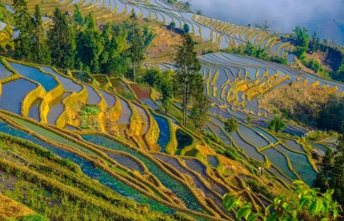 梯田里的绝美民宿，这样的民宿想住吗？