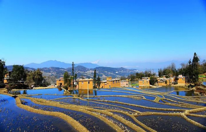 梯田里的绝美民宿，这样的民宿想住吗？