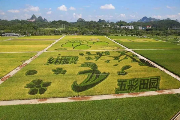 让民宿在乡村振兴中绽放异彩 让民宿在乡村振兴中绽放异彩