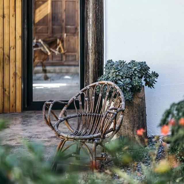 旧民居改造的民宿，一切的美好事物都在这里了