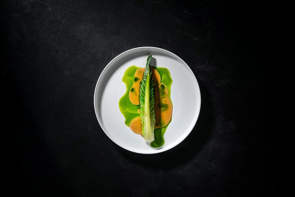 藤本壮介设计的白屋酒店将在日本前桥开业,提供设计师客房 藤本壮介设计的白屋酒店将在日本前桥开业,提供设计师客房