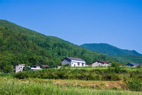 品牌化成为乡村民宿发展的新选择