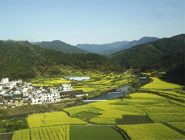 品牌化成为乡村民宿发展的新选择