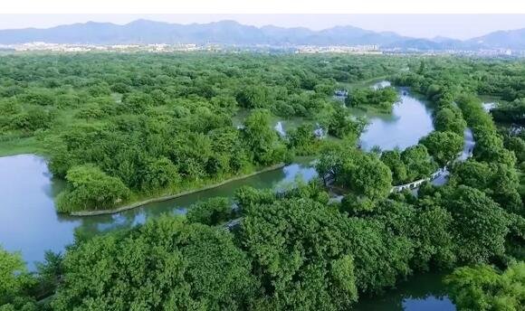 放弃阿里百万年薪,他造了 7 栋纯白色的家 放弃阿里百万年薪,他造了 7 栋纯白色的家