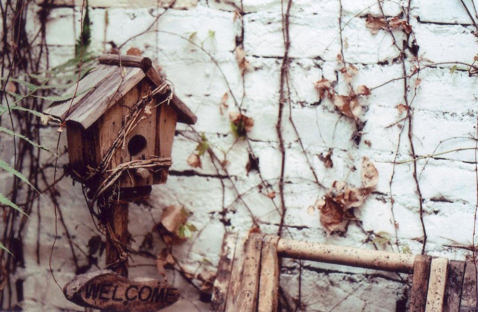 一幢老式的传统木质三合院就是我家的老屋