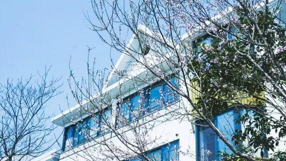 放弃阿里百万年薪,他造了 7 栋纯白色的家 放弃阿里百万年薪,他造了 7 栋纯白色的家