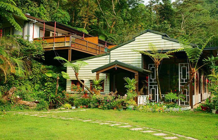 为什么民宿会形成了一种发展热潮？