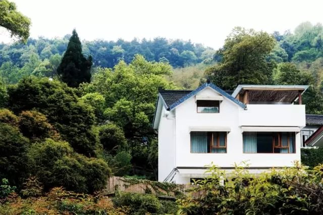 清凉一夏丨山谷中民宿值得一去 清凉一夏丨山谷中民宿值得一去