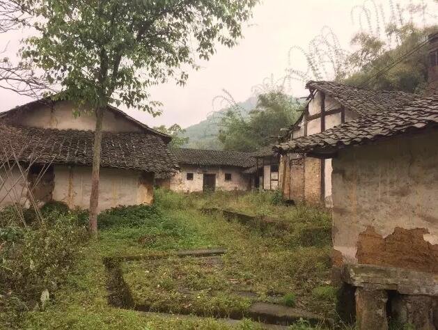 从民宿看古建保护的另一种方式 从民宿看古建保护的另一种方式