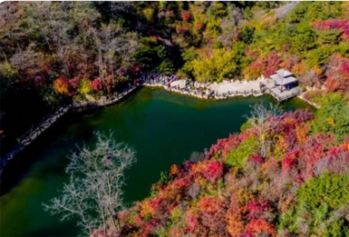 济南:文旅产品新业态抢眼 民宿发展势头正劲 济南:文旅产品新业态抢眼 民宿发展势头正劲