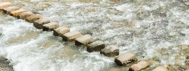 老宅改造丨 80 后三兄妹把祖屋修成私家花园，从此诗酒田园