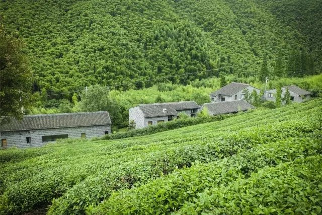 青砖与混凝土之美,颠覆您对最美乡舍的想像 青砖与混凝土之美,颠覆您对最美乡舍的想像