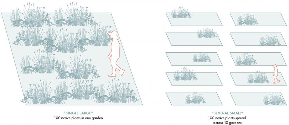 2022 ASLA 传播类荣誉奖: 移动苗圃: 培养本地植物社区，美国加州 / Miridae