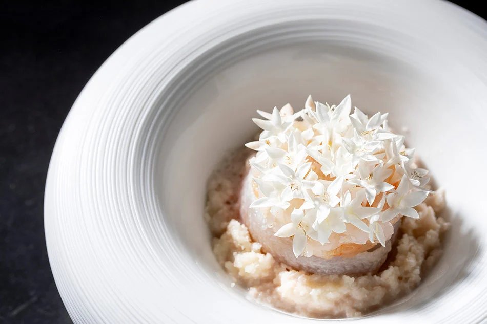 藤本壮介设计的白屋酒店将在日本前桥开业,提供设计师客房 藤本壮介设计的白屋酒店将在日本前桥开业,提供设计师客房