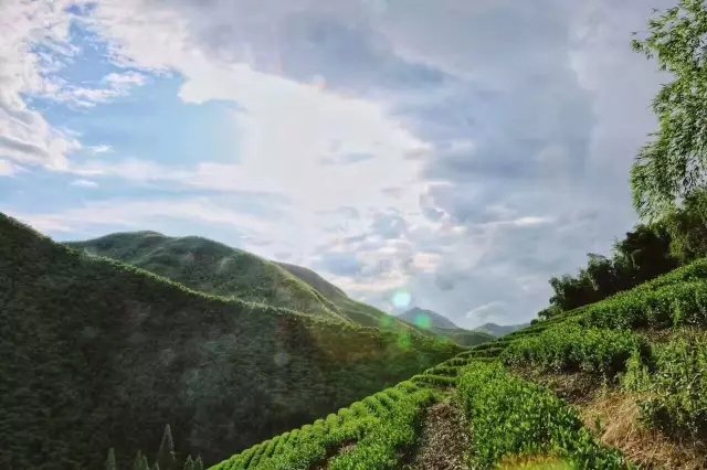 青砖与混凝土之美,颠覆您对最美乡舍的想像 青砖与混凝土之美,颠覆您对最美乡舍的想像