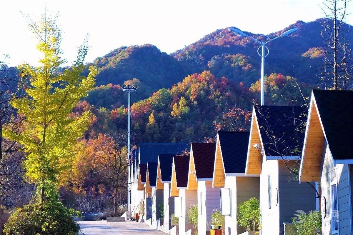 洛阳：“老宅新生”——旧民居升级特色民宿