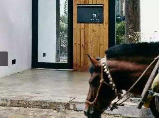 老房子要保留它原有的味道,两个民宿改造案例 老房子要保留它原有的味道,两个民宿改造案例