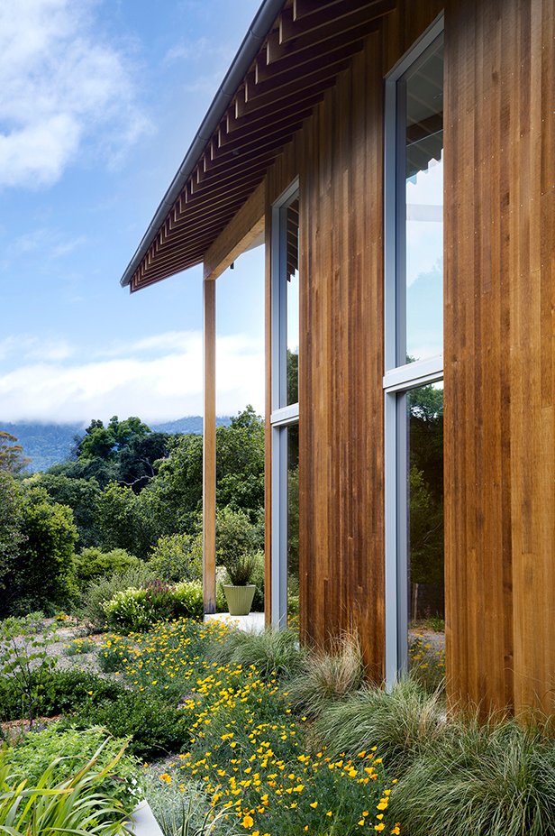 2022 ASLA 住宅设计类荣誉奖：海岸岭住宅，美国加州 / Scott Lewis Landscape Architecture