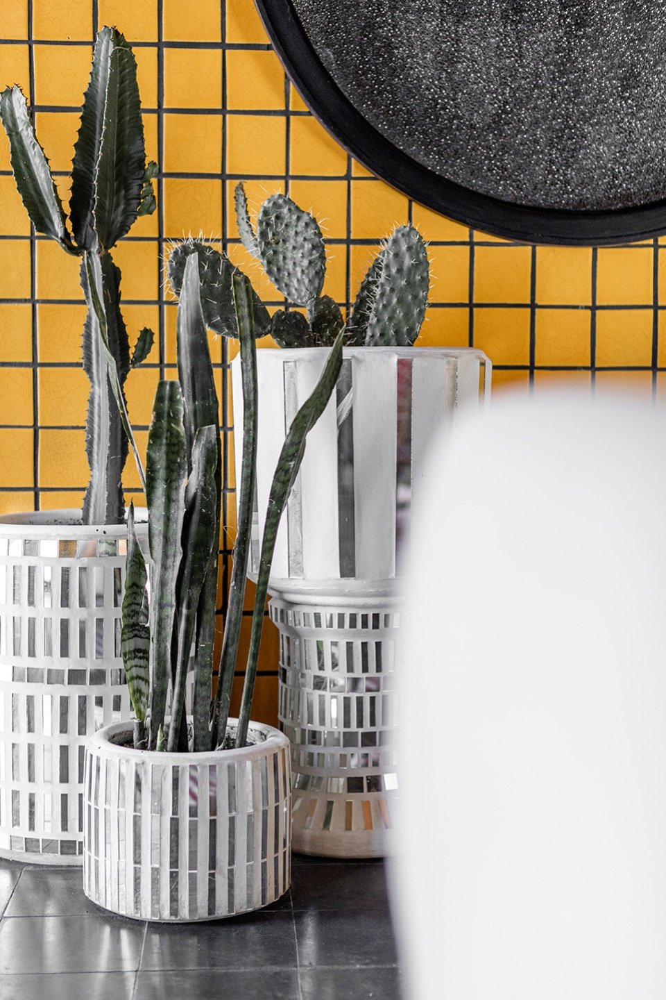 Casa Hoyos 精品酒店，墨西哥 / A-G studio