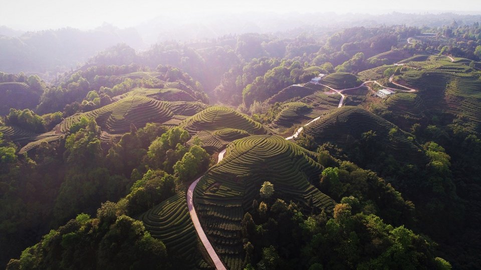 竞赛征集|雅安百丈湖水美乡村建筑国际设计竞赛