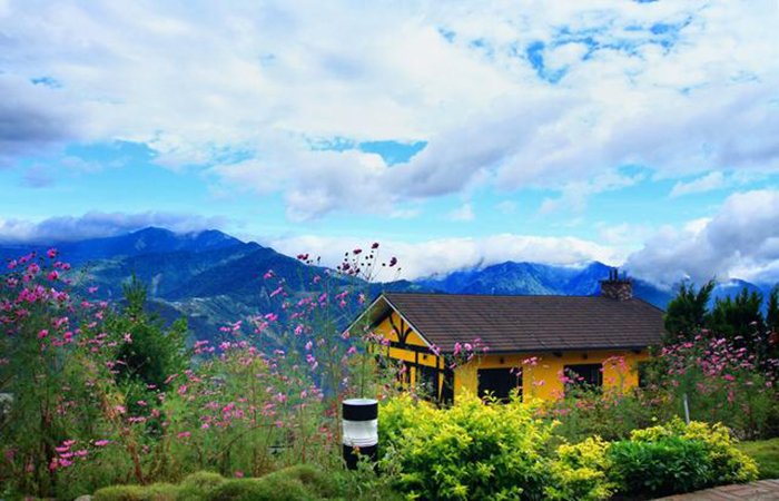 为什么民宿持续这么火