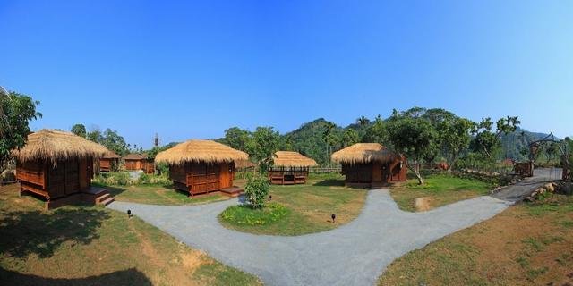 为什么民宿持续这么火