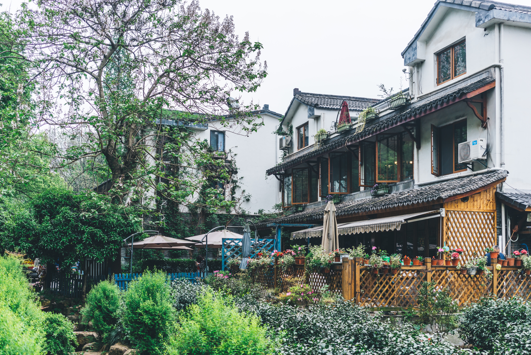 罗军开年首讲：2020 年民宿产业怎么走？