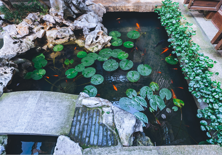 乡村民宿的发展，须充分发挥乡村性！